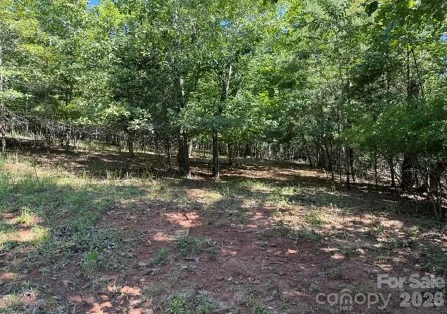 5th image of 00 Elliott Dr #51, Rutherfordton, NC 28139 | MLS# 4417296