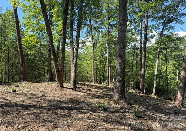 Photo 2 of Land for sale at V/l Overland Trl #168, Marion, NC 28752 | MLS# 4417430 | Listing updated on 2026-08-25