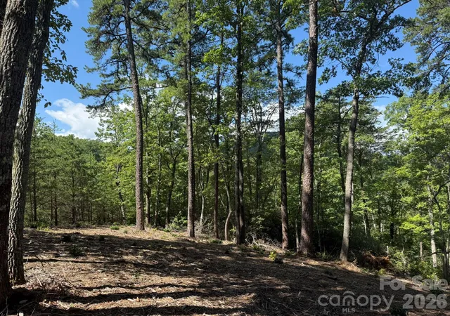 Photo 3 of Land for sale at V/L Overland Trl #168, Marion, NC 28752 | MLS# 4417430 | Listing updated on 2026-08-25