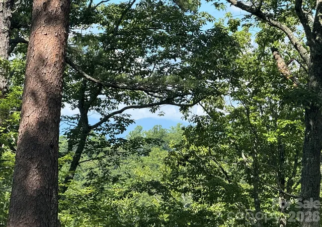 Photo 4 of Land for sale at V/L Overland Trl #168, Marion, NC 28752 | MLS# 4417430 | Listing updated on 2026-08-25