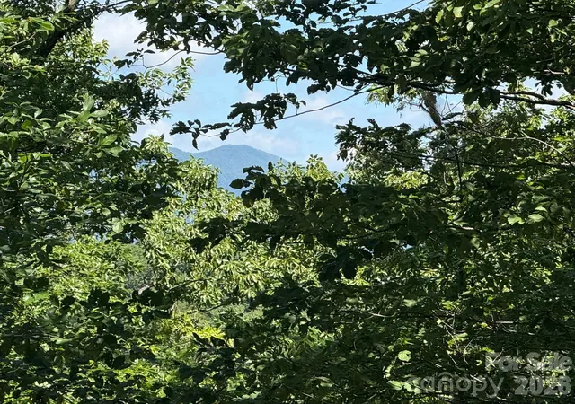 Photo 5 of Land for sale at V/L Overland Trl #168, Marion, NC 28752 | MLS# 4417430 | Listing updated on 2026-08-25