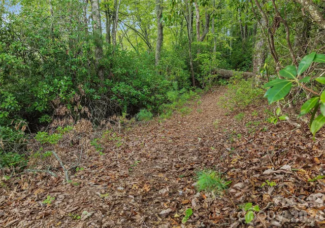 Photo 14 of Land for sale at 0 Morgan Dr, Penrose, NC 28766 | MLS# 4417462 | Listing updated on 2026-08-27