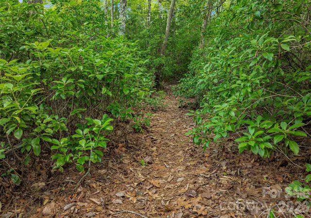 Photo 4 of Land for sale at 0 Morgan Dr, Penrose, NC 28766 | MLS# 4417462 | Listing updated on 2026-08-27