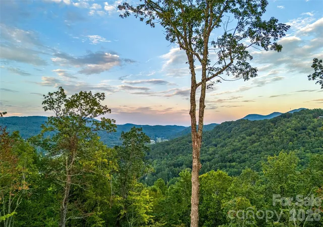 Photo 3 of Land for sale at 0 Morgan Dr, Penrose, NC 28766 | MLS# 4417462 | Listing updated on 2026-09-23