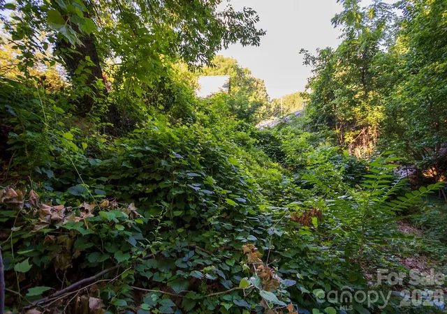 2nd image of 99999 Clingman Ave, Asheville, NC 28801 | MLS# 4417581