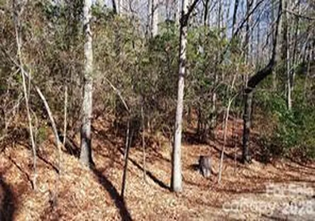 Photo 2 of Land for sale at Tbd Galax Ln #G-11, Brevard, NC 28712 | MLS# 4417590 | Listing updated on 2026-09-22