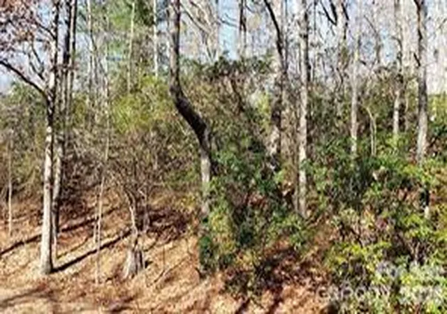 Photo 3 of Land for sale at Tbd Galax Ln #G-11, Brevard, NC 28712 | MLS# 4417590 | Listing updated on 2026-09-22