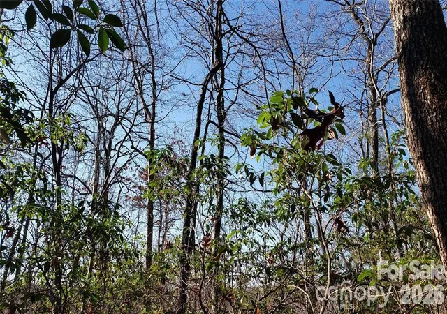 Photo 3 of Land for sale at Tbd Galax Ln #G-11, Brevard, NC 28712 | MLS# 4417590 | Listing updated on 2026-09-22