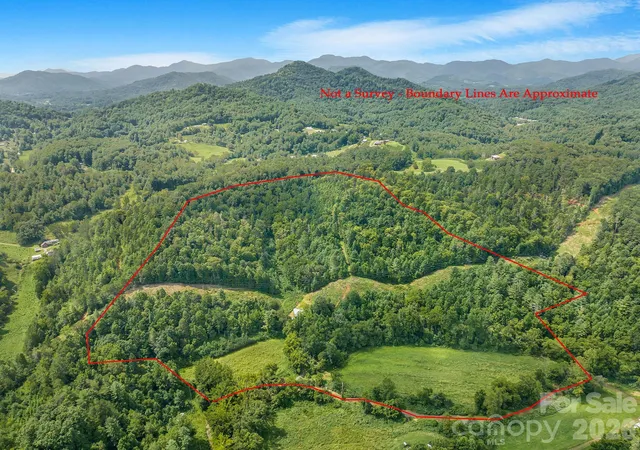 Photo 2 of Land for sale at 99999 Meadows Town Rd, Leicester, NC 28748 | MLS# 4417761 | Listing updated on 2026-09-03