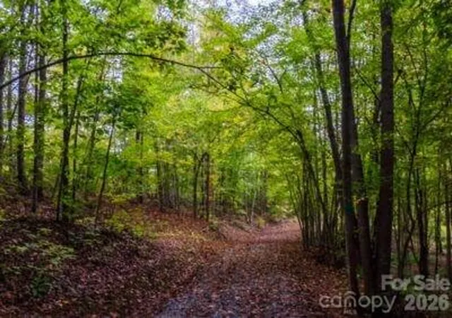 5th image of 538 Grandview Peaks Dr #31, Nebo, NC 28761 | MLS# 4417778