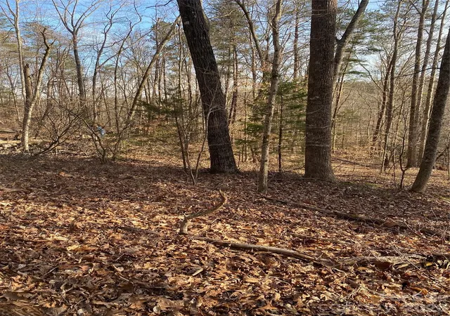 2nd image of 0 Hugh Champion Rd, Tryon, NC 28782 | MLS# 4417783