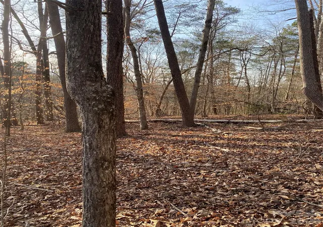 3rd image of 0 Hugh Champion Rd, Tryon, NC 28782 | MLS# 4417783