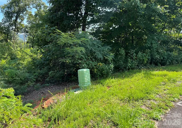 5th image of 00 Brighton Dr #233, Bostic, NC 28018 | MLS# 4417878