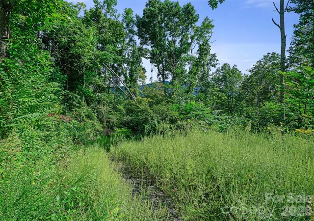 Photo 2 of Land for sale at Lot #63 65 Bear Ridge Rd, Bakersville, NC 28705 | MLS# 4418061 | Listing updated on 2026-08-28