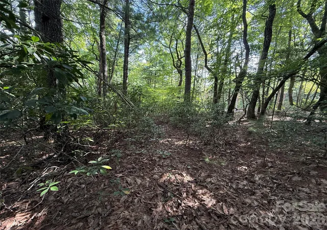 Photo 4 of Land for sale at Tbd Rich Pine Dr #119, Purlear, NC 28665 | MLS# 4418284 | Listing updated on 2026-08-25