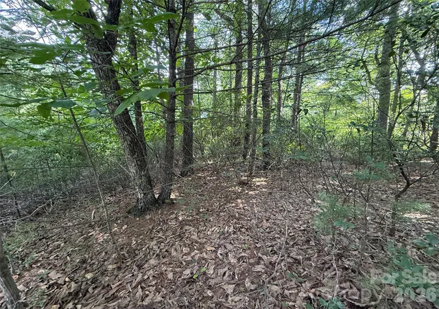 Photo 5 of Land for sale at Tbd Rich Pine Dr #119, Purlear, NC 28665 | MLS# 4418284 | Listing updated on 2026-08-25
