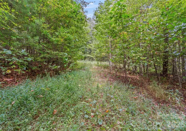 Photo 3 of Land for sale at Tbd Pond Rd, Spruce Pine, NC 28777 | MLS# 4418387 | Listing updated on 2026-08-26