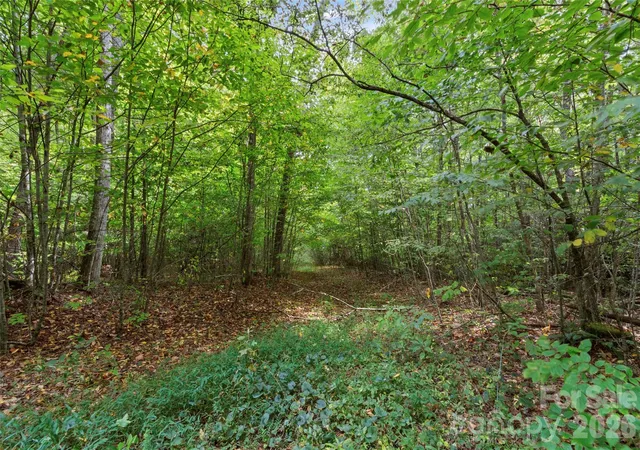 Photo 5 of Land for sale at Tbd Pond Rd, Spruce Pine, NC 28777 | MLS# 4418387 | Listing updated on 2026-08-26