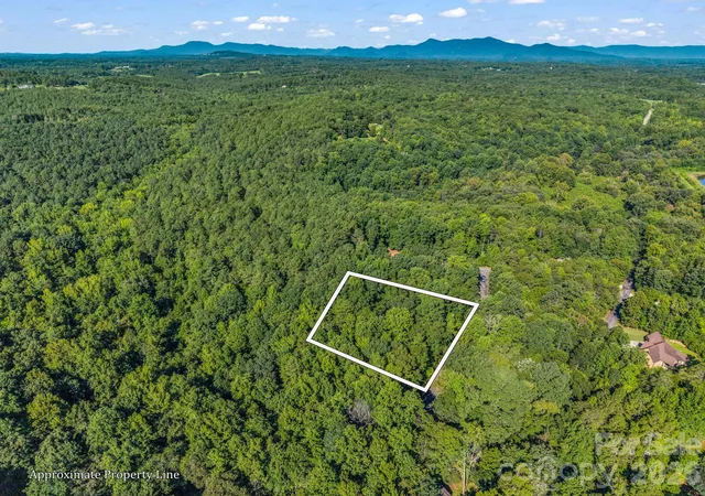 2nd image of 000 Rambling Creek Rd, Tryon, NC 28782 | MLS# 4418478