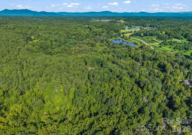 5th image of 000 Rambling Creek Rd, Tryon, NC 28782 | MLS# 4418478