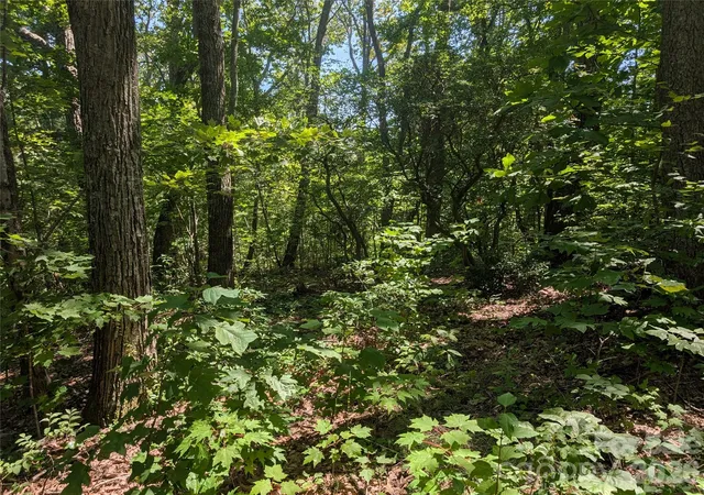 1st image of 1824 Old Mill Rd, Hendersonville, NC 28792 | MLS# 4418552