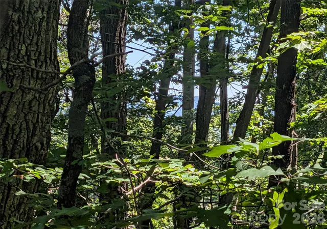 3rd image of 1824 Old Mill Rd, Hendersonville, NC 28792 | MLS# 4418552