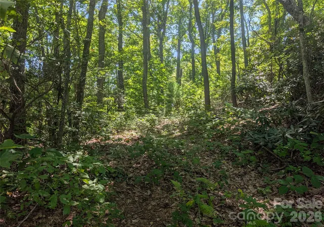 4th image of 1824 Old Mill Rd, Hendersonville, NC 28792 | MLS# 4418552