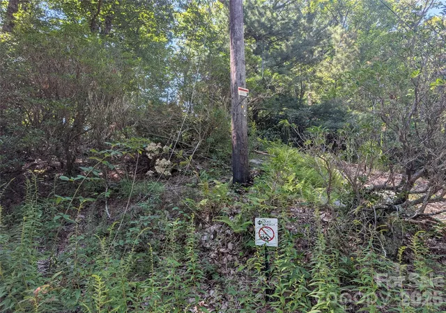 6th image of 1824 Old Mill Rd, Hendersonville, NC 28792 | MLS# 4418552