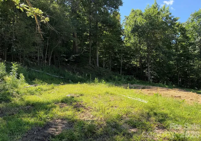 Photo 3 of Land for sale at 4281 Prices Creek Rd, Burnsville, NC 28714 | MLS# 4418553 | Listing updated on 2026-08-26