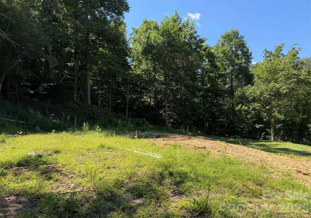 Photo 5 of Land for sale at 4281 Prices Creek Rd, Burnsville, NC 28714 | MLS# 4418553 | Listing updated on 2026-08-26