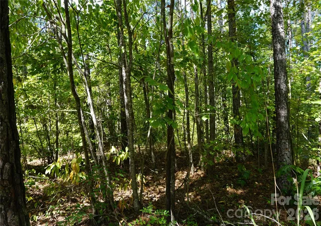 Photo 3 of Land for sale at 6+/  Ac Lot 1 Parson Rd, Mc Connells, SC 29726 | MLS# 4418584 | Listing updated on 2026-09-30