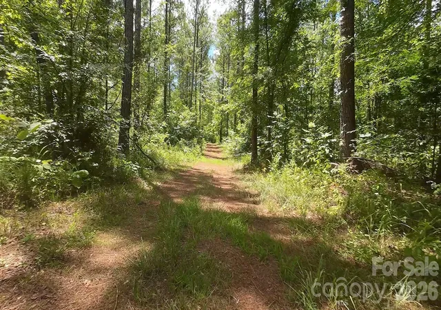 Photo 3 of Land for sale at 6+/- Ac Lot 1 Parson Rd, Mc Connells, SC 29726 | MLS# 4418584 | Listing updated on 2026-08-27