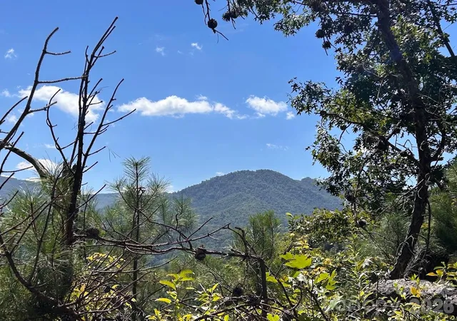 Photo 1 of Land for sale at 9999 Us Hwy 441 Hwy S, Sylva, NC 28779 | MLS# 4418636 | Listing updated on 2026-08-28