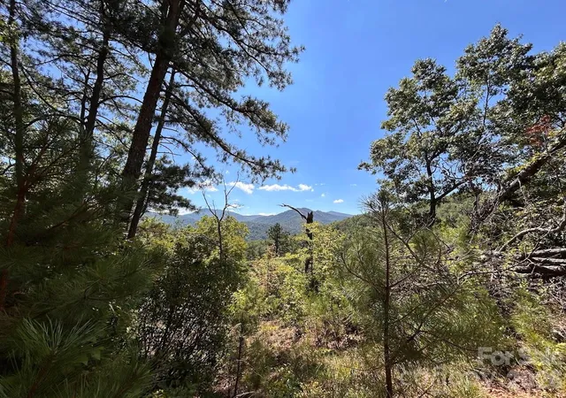 Photo 3 of Land for sale at 9999 Us Hwy 441 Hwy S, Sylva, NC 28779 | MLS# 4418636 | Listing updated on 2026-08-28