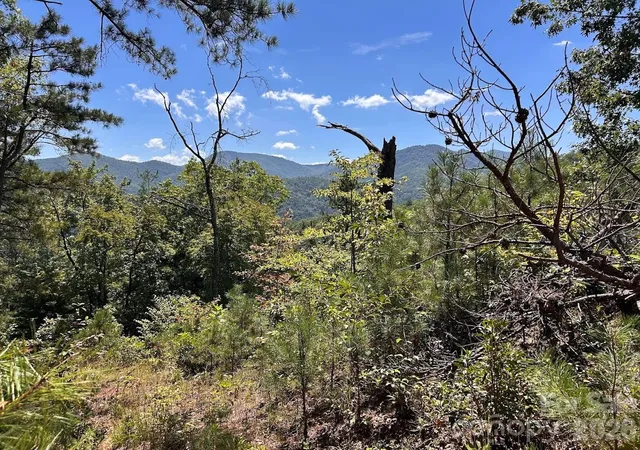 Photo 4 of Land for sale at 9999 Us Hwy 441 Hwy S, Sylva, NC 28779 | MLS# 4418636 | Listing updated on 2026-08-28