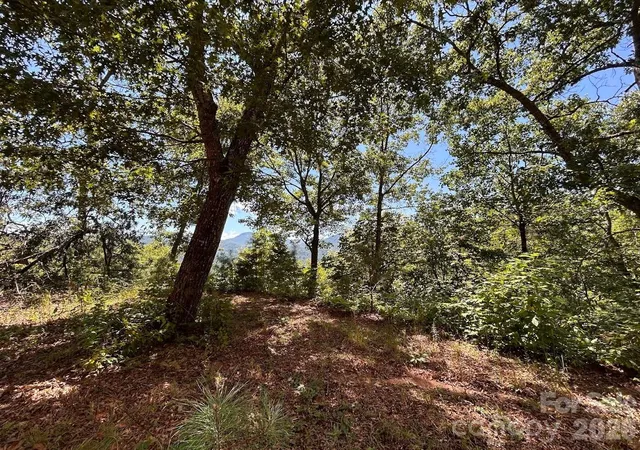Photo 5 of Land for sale at 9999 Us Hwy 441 Hwy S, Sylva, NC 28779 | MLS# 4418636 | Listing updated on 2026-08-28
