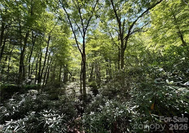 Photo 2 of Land for sale at Tbd Boulder Creek Dr #3, Boone, NC 28607 | MLS# 4418671 | Listing updated on 2026-08-31