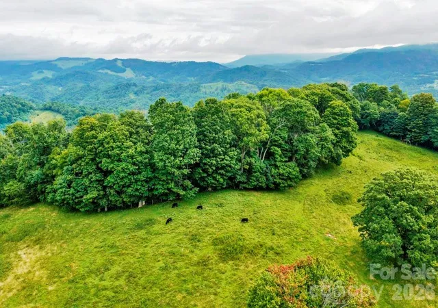 Photo 1 of Land for sale at Tbd Vaughn Potter Rd, Zionville, NC 28698 | MLS# 4418698 | Listing updated on 2026-08-27
