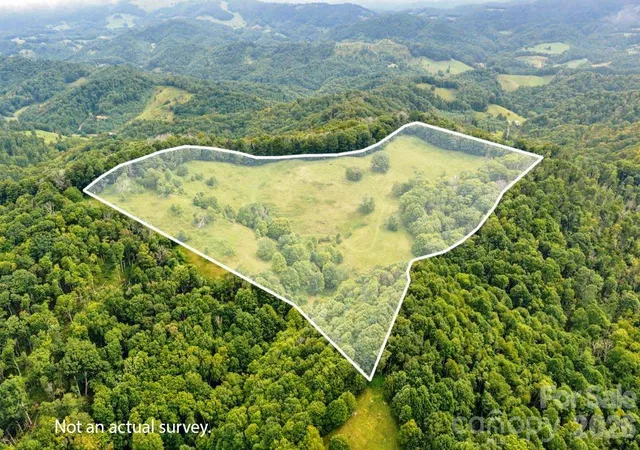 Photo 3 of Land for sale at Tbd Vaughn Potter Rd, Zionville, NC 28698 | MLS# 4418698 | Listing updated on 2026-08-27