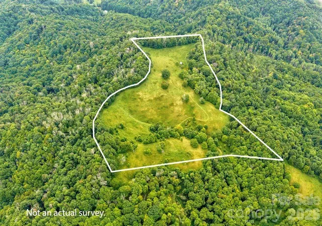 Photo 4 of Land for sale at Tbd Vaughn Potter Rd, Zionville, NC 28698 | MLS# 4418698 | Listing updated on 2026-08-27