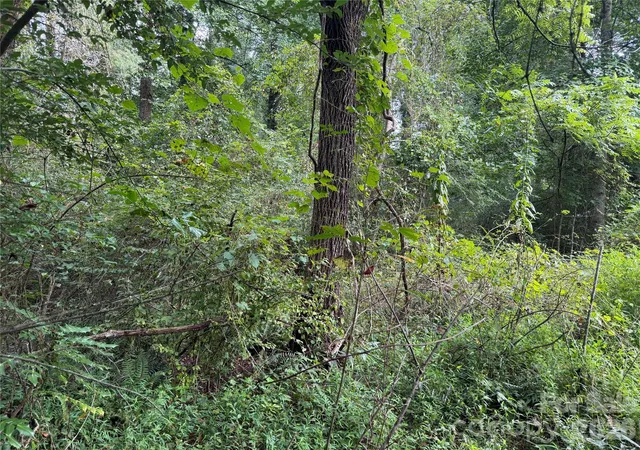 Photo 15 of Land for sale at Off Meadowbrook Cir, Brevard, NC 28712 | MLS# 4418700 | Listing updated on 2026-08-31