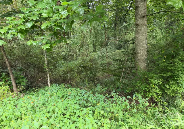 Photo 3 of Land for sale at Off Meadowbrook Cir, Brevard, NC 28712 | MLS# 4418700 | Listing updated on 2026-08-31