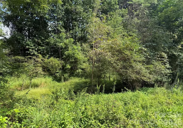 Photo 5 of Land for sale at Off Meadowbrook Cir, Brevard, NC 28712 | MLS# 4418700 | Listing updated on 2026-08-31