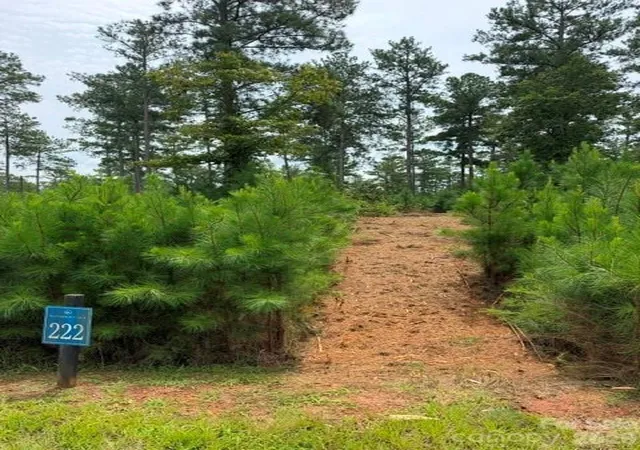 Photo 5 of Land for sale at 0 Big View Ln #222, Granite Falls, NC 28630 | MLS# 4418727 | Listing updated on 2026-08-28