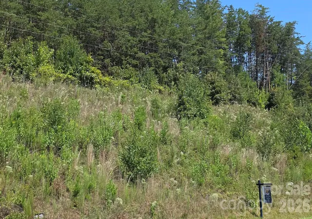 Photo 3 of Land for sale at 0 Us 64 90 Hwy W, Taylorsville, NC 28681 | MLS# 4418739 | Listing updated on 2026-10-20