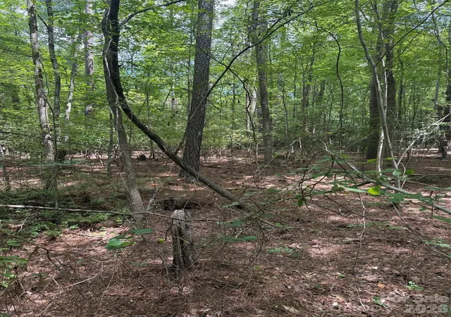 Photo 3 of Land for sale at 0 Blackwell St, Mount Gilead, NC 27306 | MLS# 4418751 | Listing updated on 2026-08-27