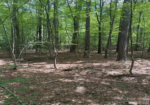 Photo 4 of Land for sale at 0 Blackwell St, Mount Gilead, NC 27306 | MLS# 4418751 | Listing updated on 2026-08-27