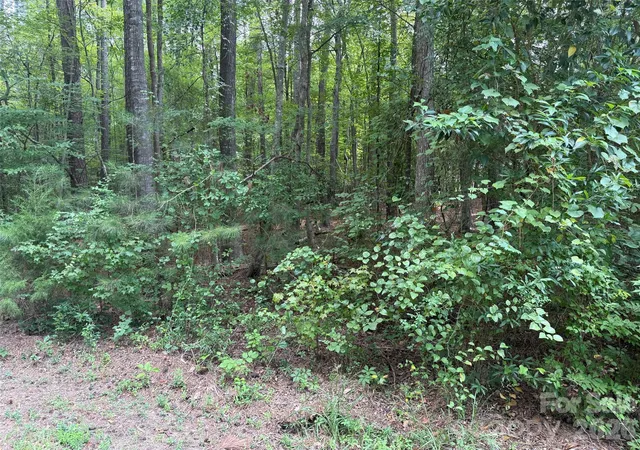 Photo 5 of Land for sale at 0 Blackwell St, Mount Gilead, NC 27306 | MLS# 4418751 | Listing updated on 2026-08-27