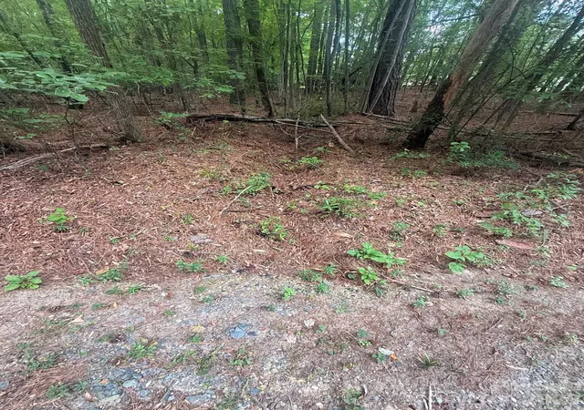 Photo 6 of Land for sale at 0 Blackwell St, Mount Gilead, NC 27306 | MLS# 4418751 | Listing updated on 2026-08-27