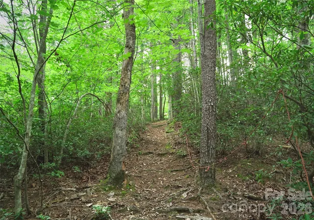 4th image of 3 South Pointe Rd, Mill Spring, NC 28756 | MLS# 4418772